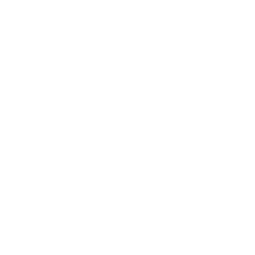icon website