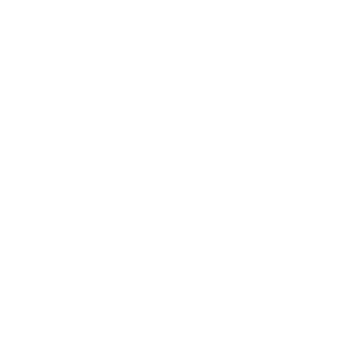 icon website