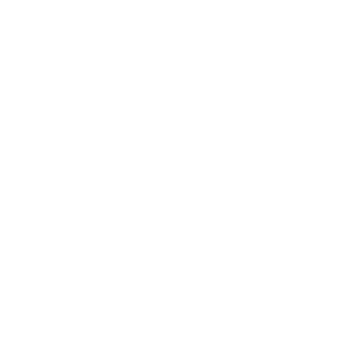 icon website